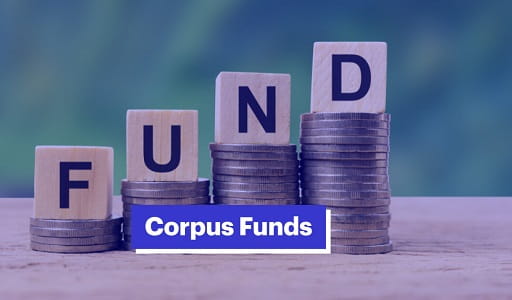 Corpus in Finance