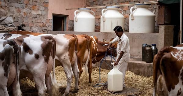 Top 5 Business Ideas in Villages in India