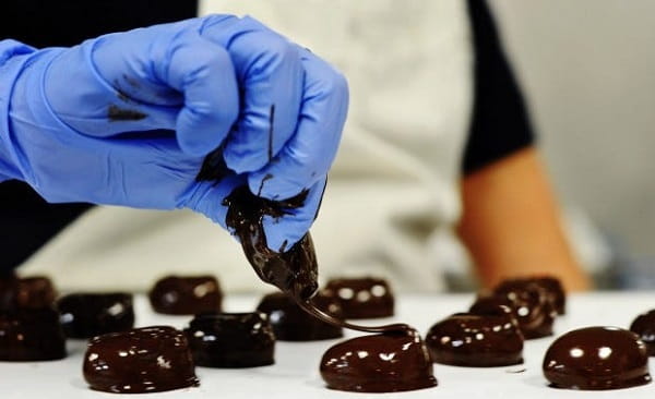 Homemade Chocolate Business